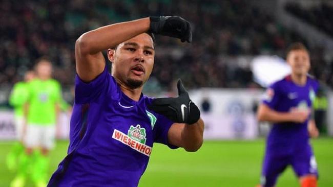 的耀眼明星 的耀眼明星